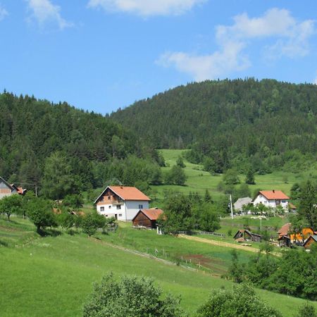 Planinski Mir Zaovine المظهر الخارجي الصورة